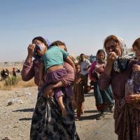 Yazidi families fleeing DAESH